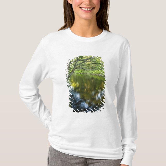 Camiseta El río Taunton en Bridgewater, (Anverso)