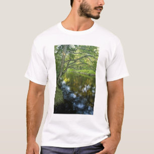 Camiseta El río Taunton en Bridgewater,