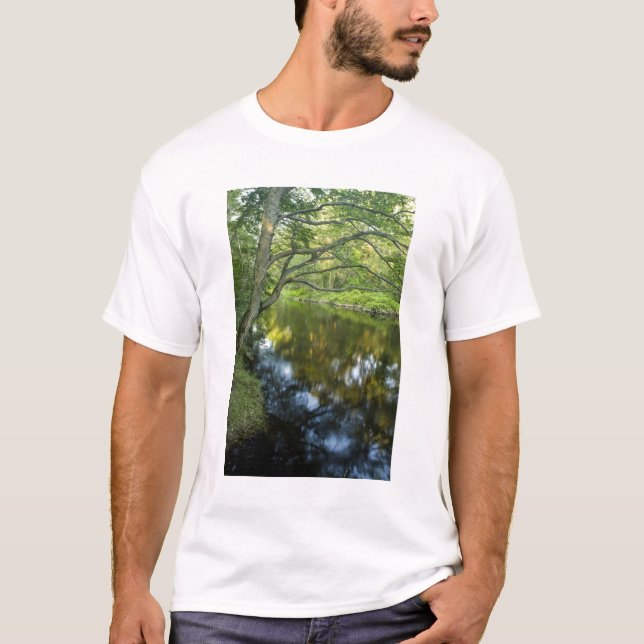 Camiseta El río Taunton en Bridgewater, (Anverso)