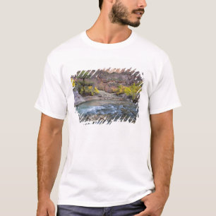 Camiseta El río Virgin en otoño en el Parque Nacional Zion