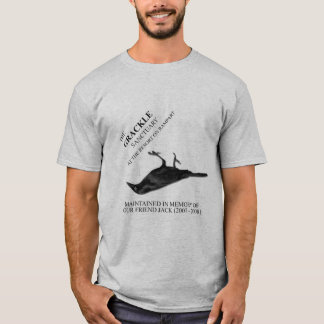 Camiseta El santuario de Grackle