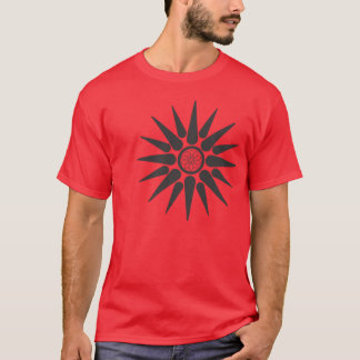 Camiseta El sol de Alejandro
