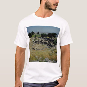 Camiseta El teatro griego