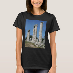 Camiseta El Templo De Las Ruinas Afroditas De Afrodisias Tu