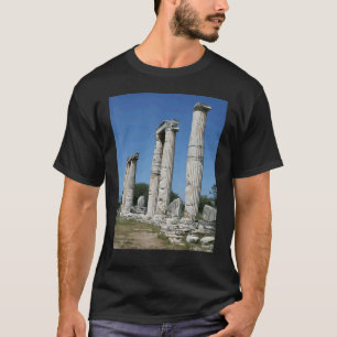 Camiseta El Templo De Las Ruinas Afroditas De Afrodisias Tu