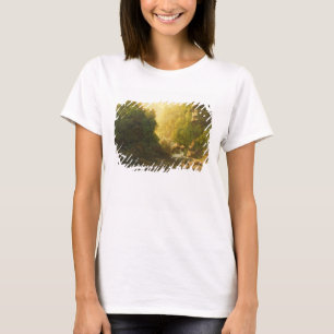 Camiseta El torrente de la montaña, c.1820-30 (aceite en