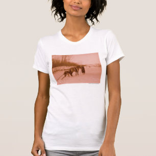 Camiseta El Travois