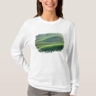 Camiseta El trigo brota en las colinas de Palouse