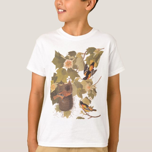 Camiseta El trío oriental de Baltimore para Audubon (Anverso)