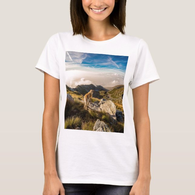 Camiseta El viaje (Anverso)