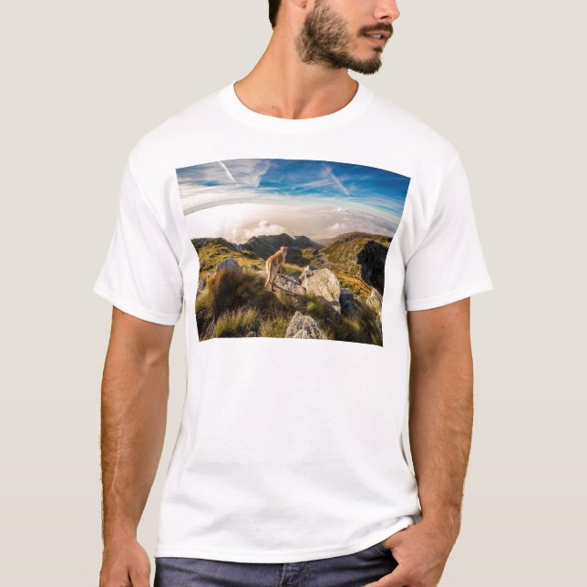 Camiseta El viaje (Anverso)