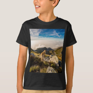 Camiseta El viaje