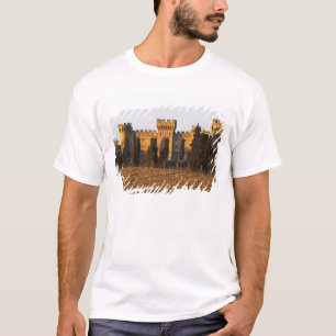 Camiseta El viñedo con vides syrah y el castillo