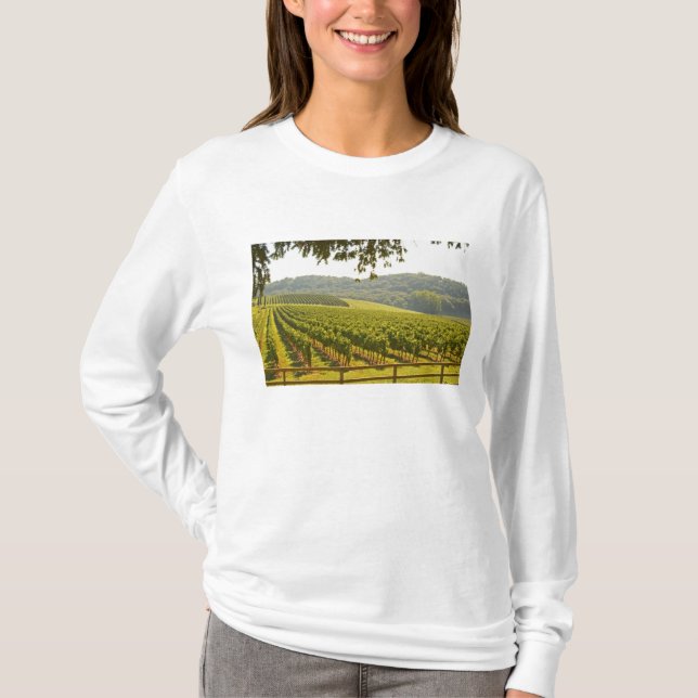 Camiseta El viñedo y un valle con un bosque - (Anverso)