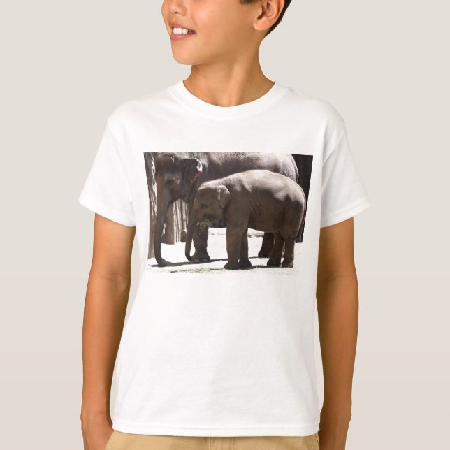 Camiseta Elefante (Anverso)