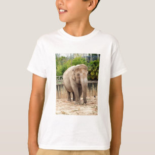 Camiseta Elefante