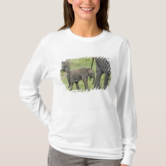 Camiseta Elefante africano con bebé (Anverso)