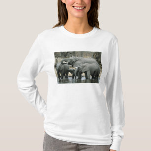 Camiseta Elefante africano, (Loxodonta africana), bebiendo