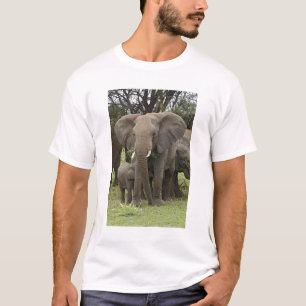 Camiseta Elefante africano Manada
