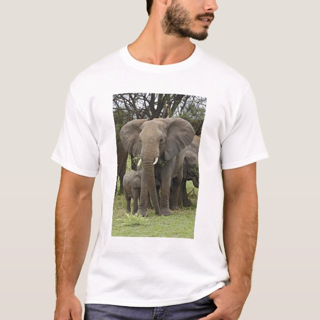 Camiseta Elefante africano | Manada (Anverso)