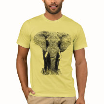 Elefante blanco y negro