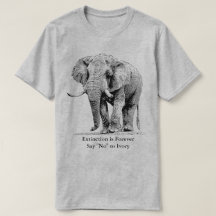 Elefante Bull que toma a un paseo el | fauna