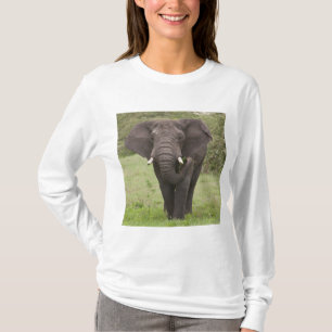 Camiseta Elefante de Tanzania África en el cráter de Ngoron