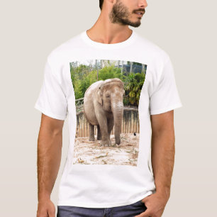 Camiseta elefante indio