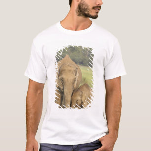 Camiseta Elefante indio / asiático y cría, Corbett
