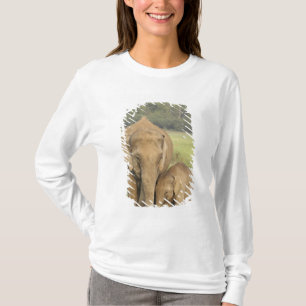 Camiseta Elefante indio / asiático y cría, Corbett