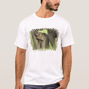 Camiseta Elefante indio / asiático y cría, Corbett 2
