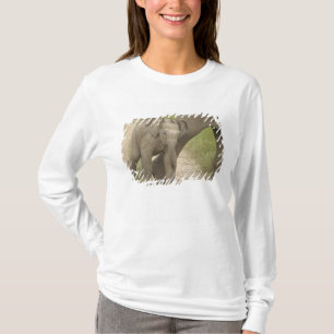 Camiseta Elefante indio / asiático y cría, Corbett 2