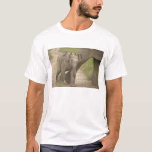 Camiseta Elefante indio / asiático y cría, Corbett 2
