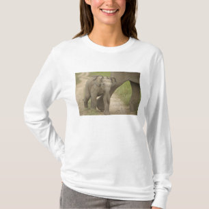Camiseta Elefante indio / asiático y cría, Corbett 2