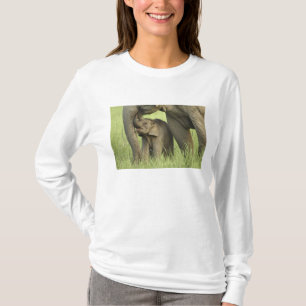 Camiseta Elefante indio / asiático y cría, Corbett 2