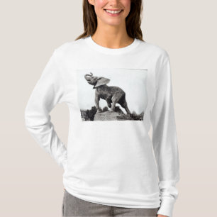 Camiseta Elefante joven cogido en una trampa