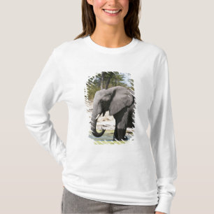 Camiseta Elefante (Loxodonta africana), canal de Savute