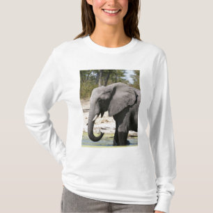 Camiseta Elefante (Loxodonta africana), Canal de Savute