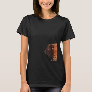 Camiseta Elefante Rojo en Kenia África