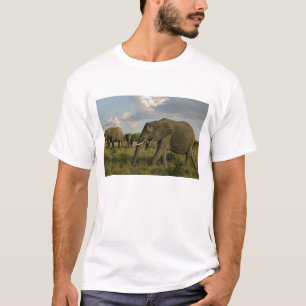 Camiseta Elefantes africanos pastando, Loxodonta africana,