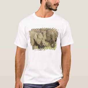 Camiseta Elefantes asiáticos indios