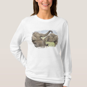 Camiseta Elefantes asiáticos indios jugando a pelear