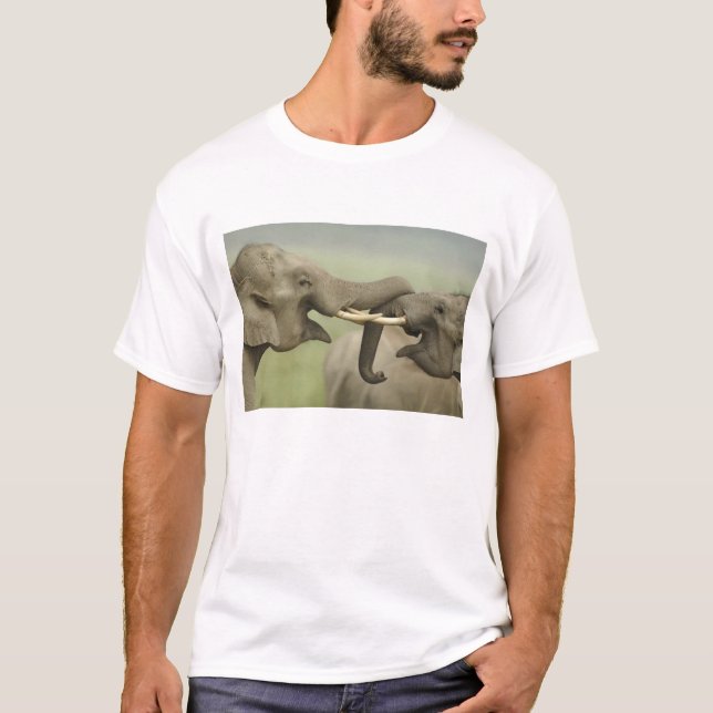 Camiseta Elefantes asiáticos indios jugando a pelear (Anverso)