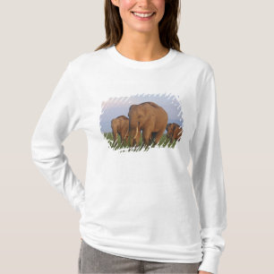 Camiseta Elefantes indios en la pradera