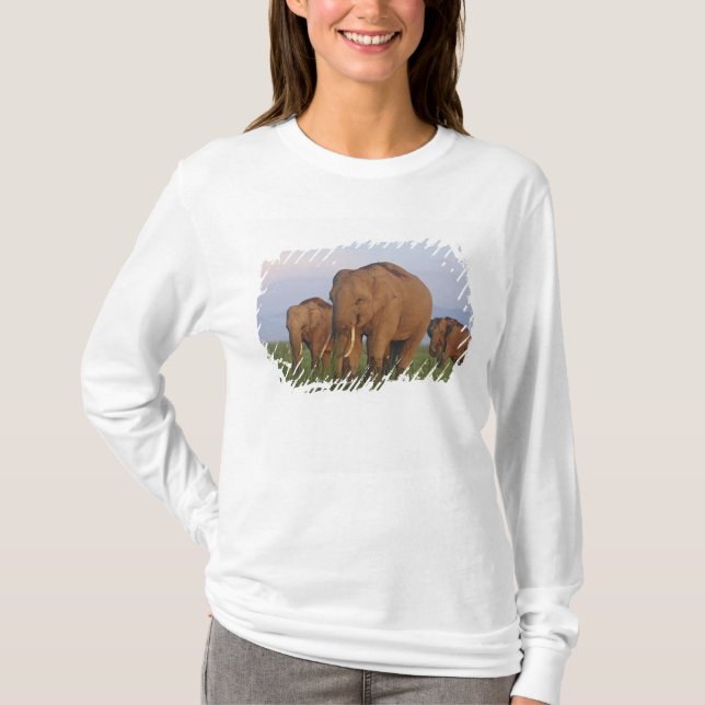 Camiseta Elefantes indios en la pradera (Anverso)