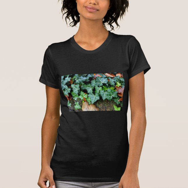 Camiseta Elegante marfil verde clásico y piedra de campo (Anverso)