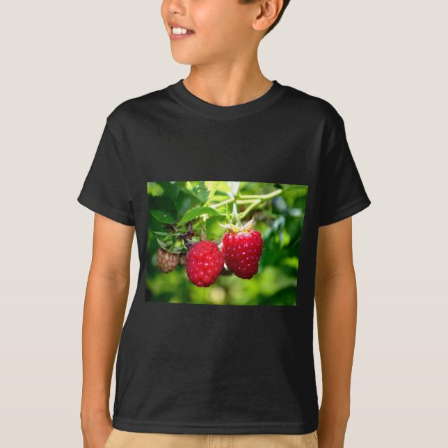 Camiseta Elegantes frambuesas rojas clásicas (Anverso)