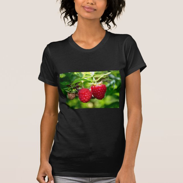 Camiseta Elegantes frambuesas rojas clásicas (Anverso)
