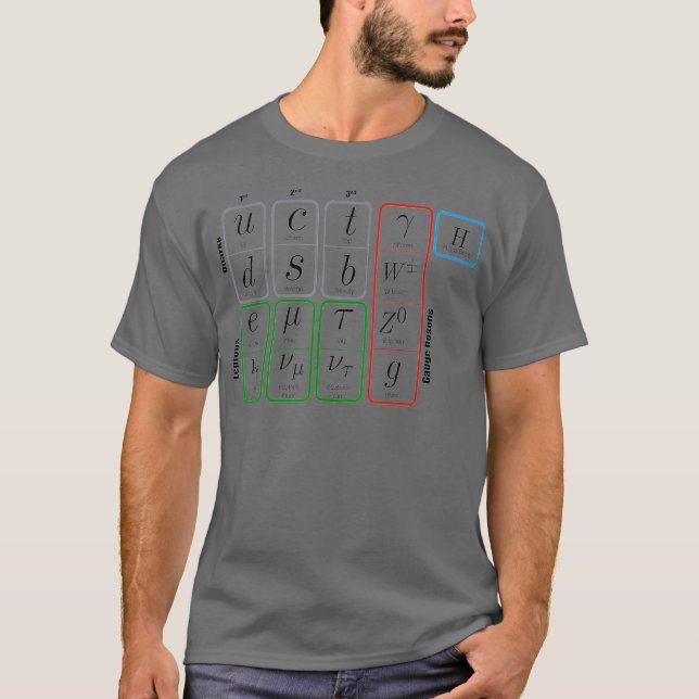 Camiseta Elementary Particles Standard Model Higgs Boson (Anverso)