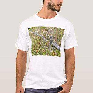 Camiseta Elementos de coordenadas de NJ de Ivy IBSP de cerc